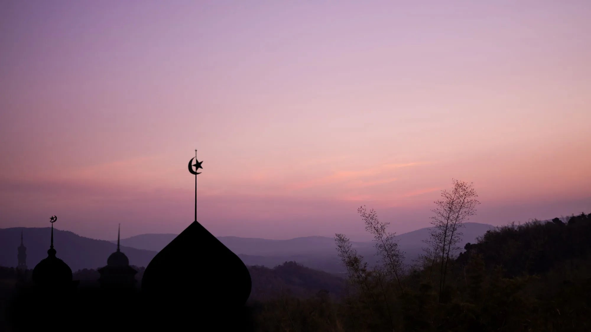 Aqidah, Fiqh & Hadith Books 